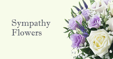 Sympathy Flowers West Hampstead
