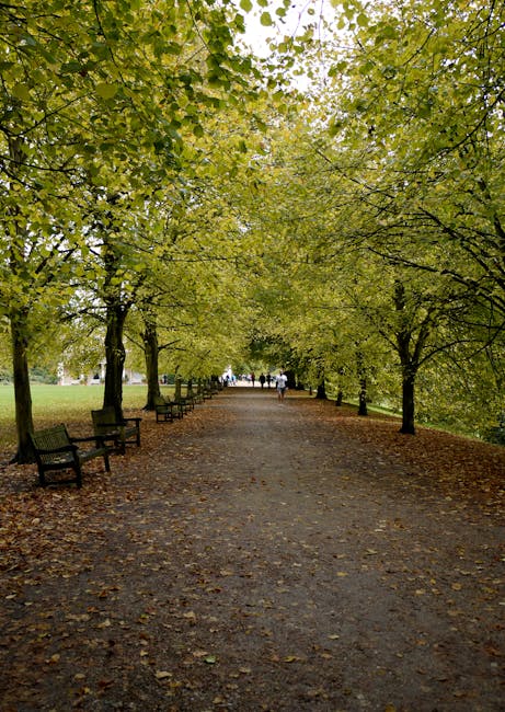 The image depicts a tree-lined pathway in Hampstead Heath with lush green foliage forming a canopy overhead. The path is paved with dark asphalt and scattered with fallen leaves, suggesting early autu